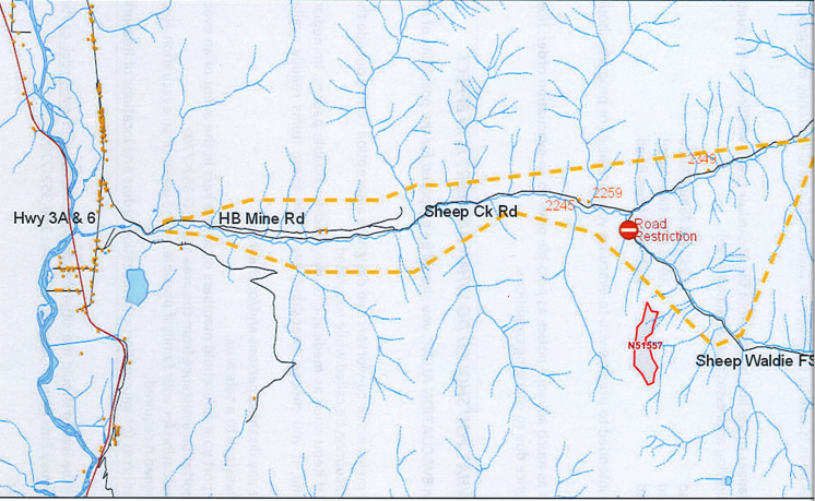 Evacuation Alert issued in Sheep Creek area