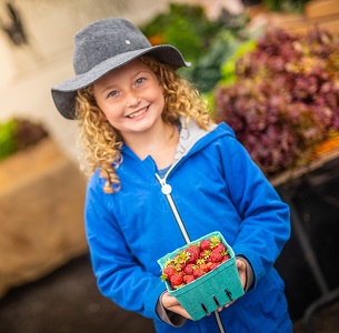 New online tool connects people to local farmers’ markets