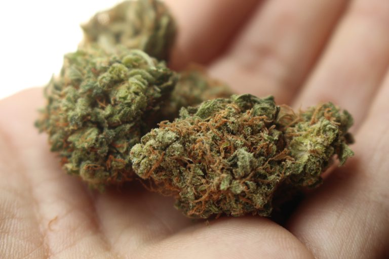 Local group hopes to ban hemp production in RDCK