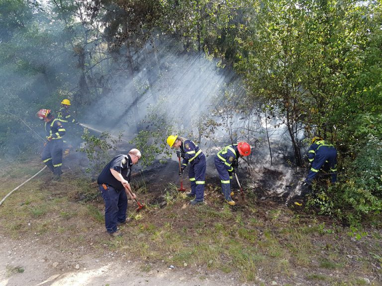 Fire off Highway 3 quickly extinguished in Castlegar