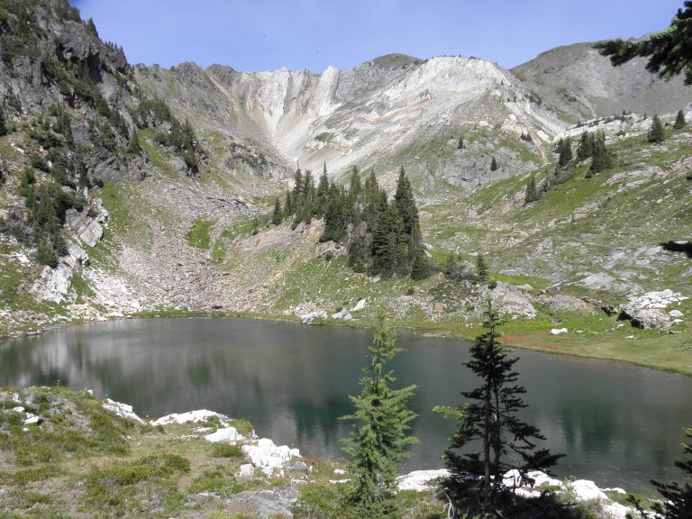 Land dispute in Argenta Johnsons Landing grows after evidence of rare southern mountain caribou