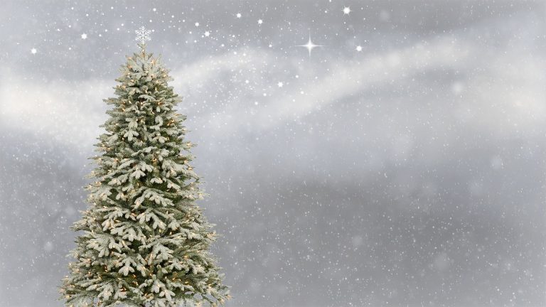 Winter Wonderland coming to Castlegar Dec. 9