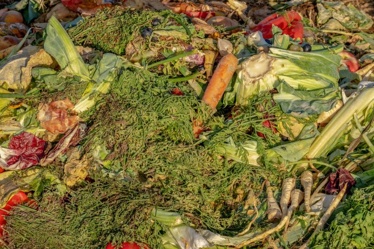 Curbside composting in Castlegar to start Aug. 21