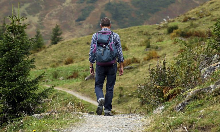 Most B.C. Parks Now Open to the Public