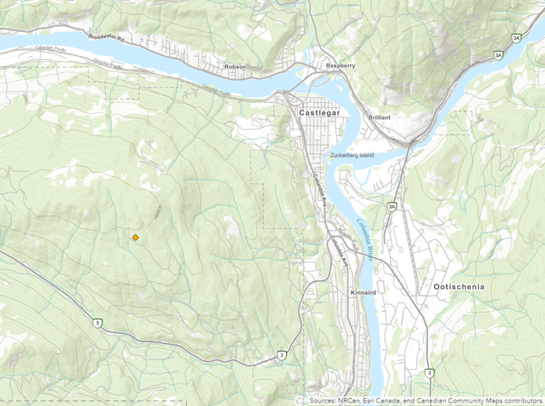 BC Wildfire Service reporting new wildfire west of Castlegar