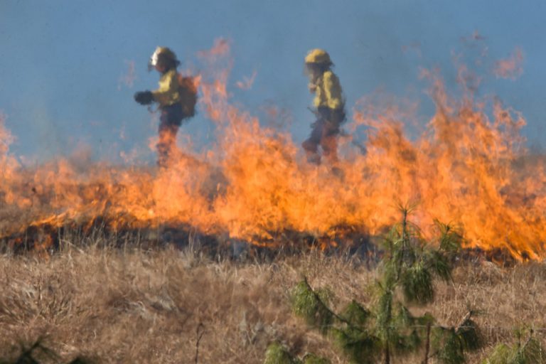 BC Wildfire warns of wind that could cause spread of wildfires