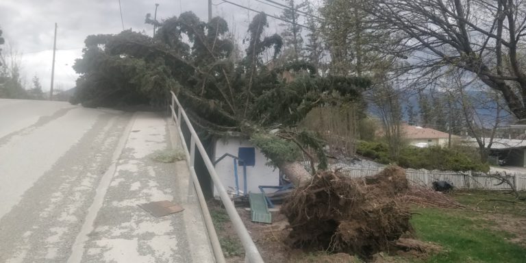 Violent windstorm tears through the West Kootenay leaving thousands without power