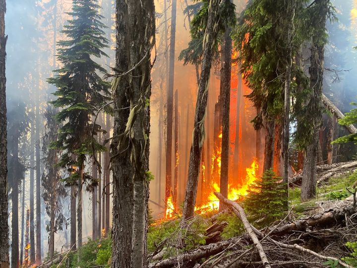 Australian firefighters touch down in B.C.