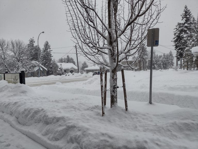 January precipitation normal, despite big dumps
