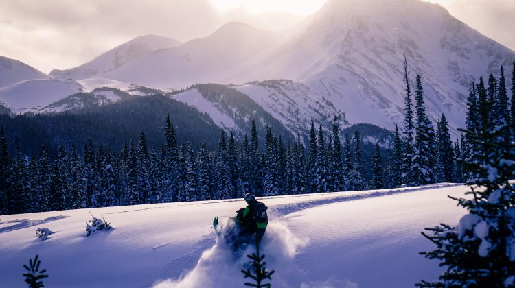 Snowmobiler dies near Revelstoke