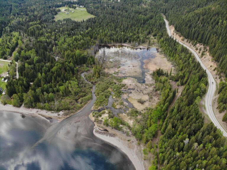 Slocan Lake property donated to Nature Conservancy