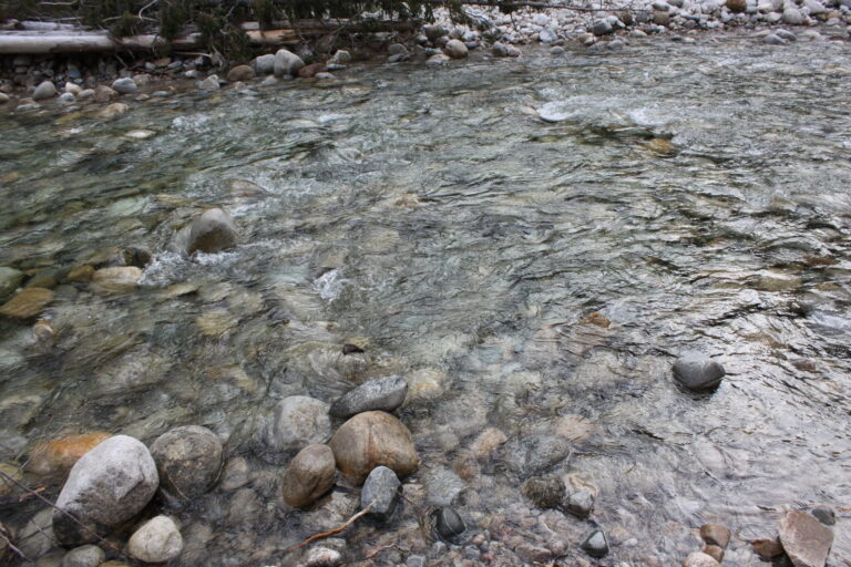 West Kootenay now under flood watch