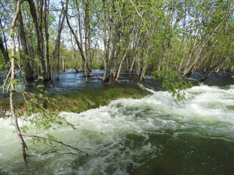 Region downgraded to high streamflow advisory