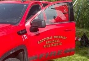 Montrose man rescued after being hit by tree