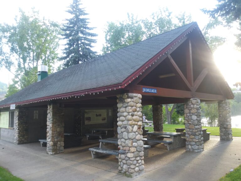 Trail’s Gyro Park tree removal starts tomorrow