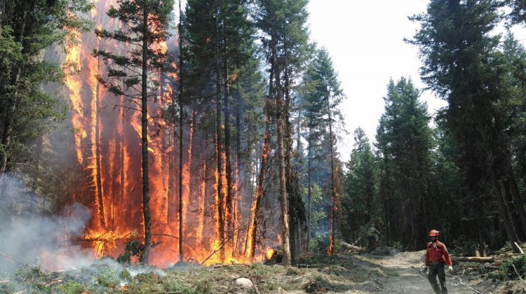 Wildfire experts say it’s important to be ready, even amid less active fire season