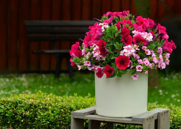 Trail man follows petals to find stolen flower pots