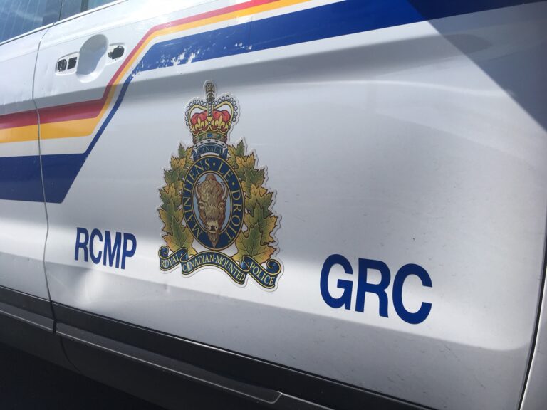 Man accused of punching Trail Mounties