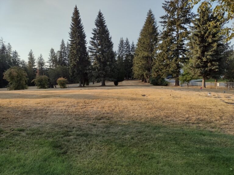 Irrigation problems cause headaches in Castlegar