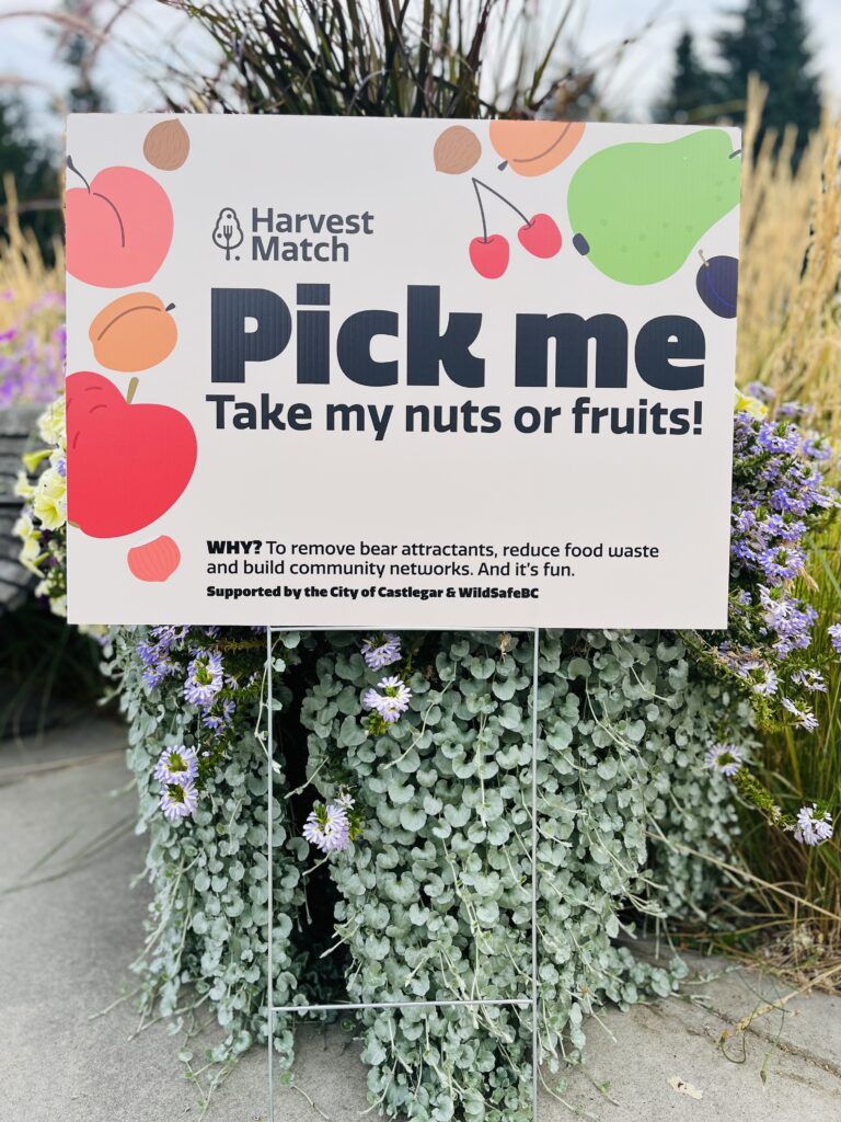 Castlegar launches program to match fruit trees, pickers