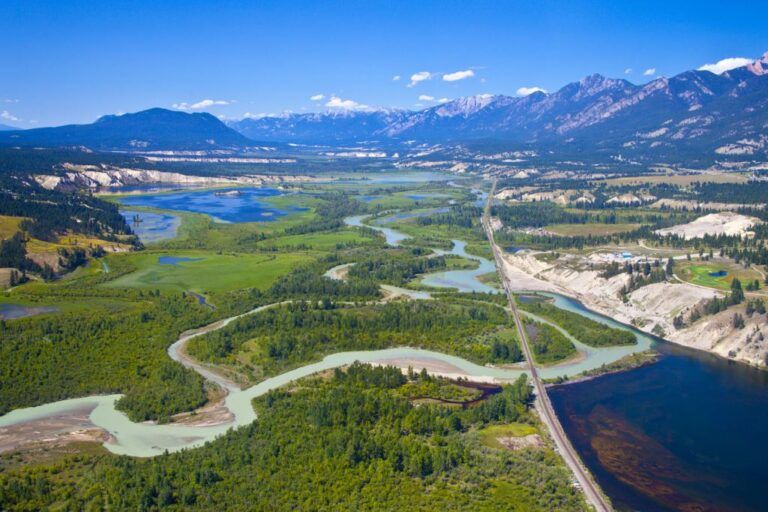 Columbia Basin Trust funds 10 projects aimed at ecosystem health