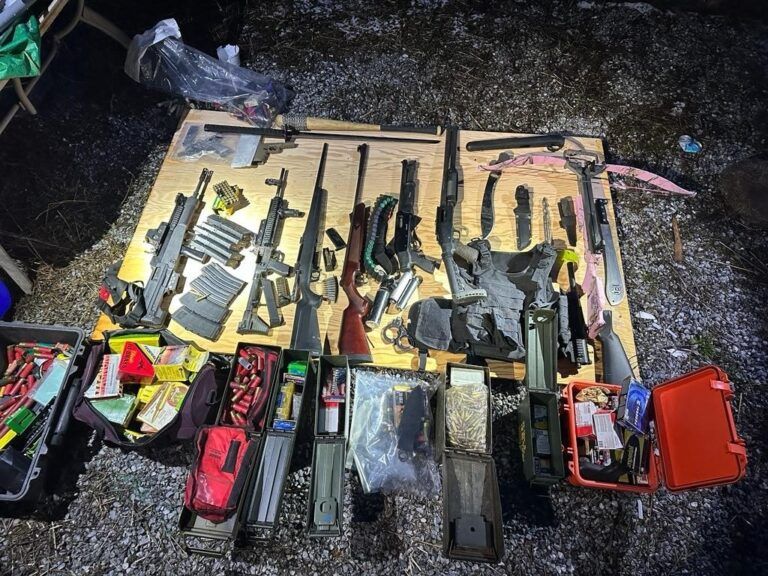 Guns, drugs seized in Fruitvale