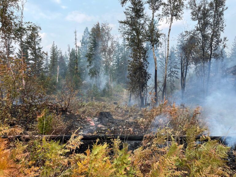 Castlegar wildfire being held