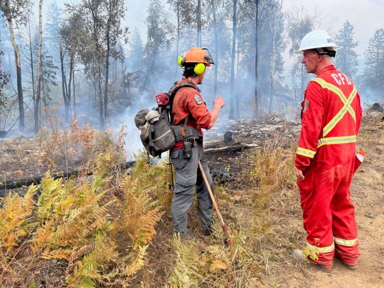 UPDATED: Castlegar wildfire believed human-caused
