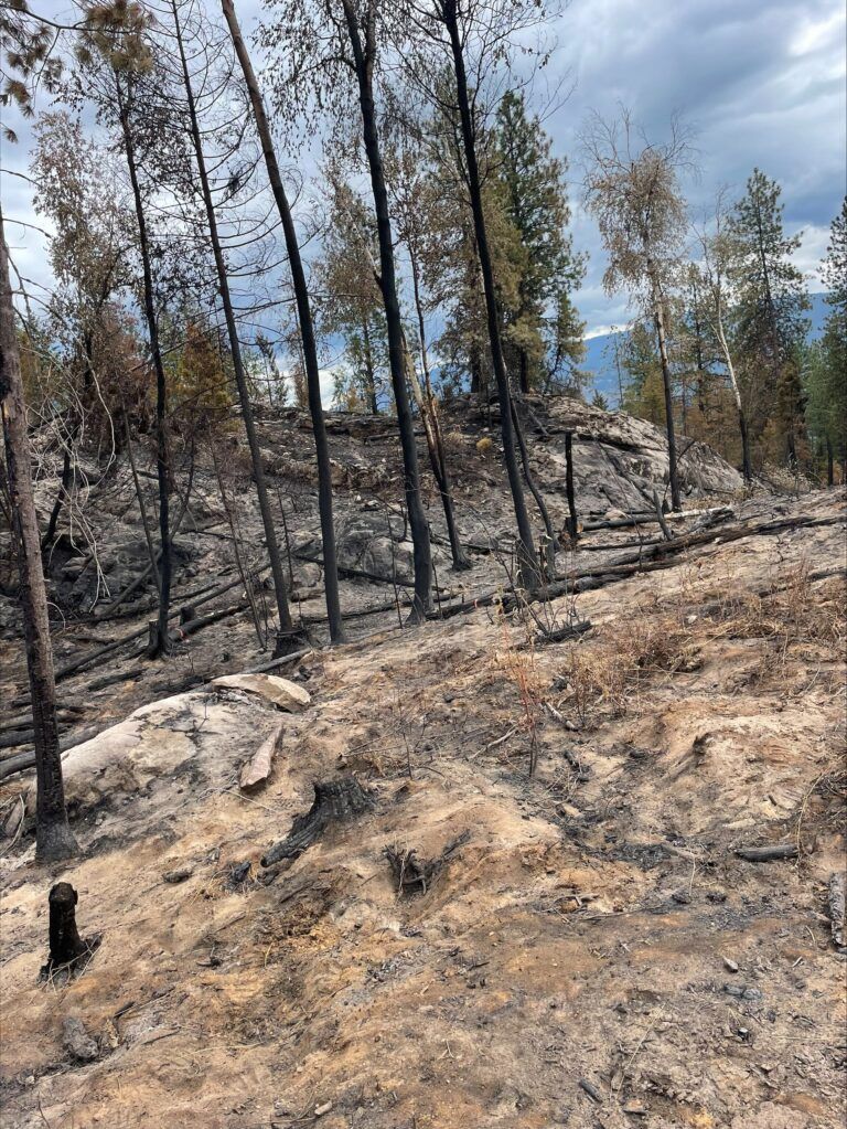 Castlegar firefighters patrolling Davidson Brook wildfire