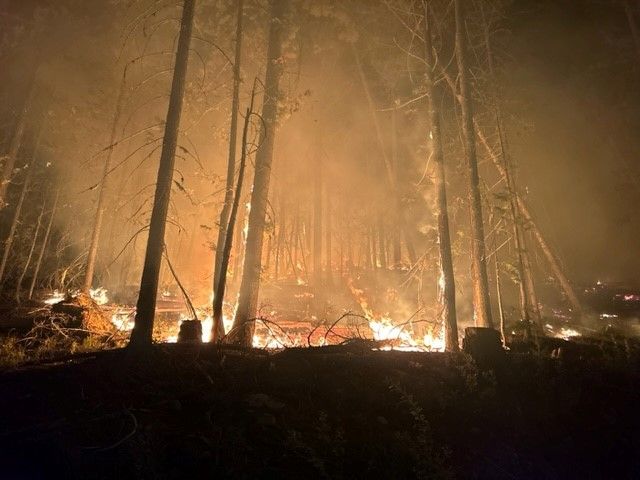 Wildfire near Rossland suspected to be arson