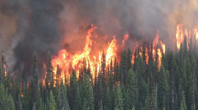 Preparing for future wildfire risk in six RDKB communities