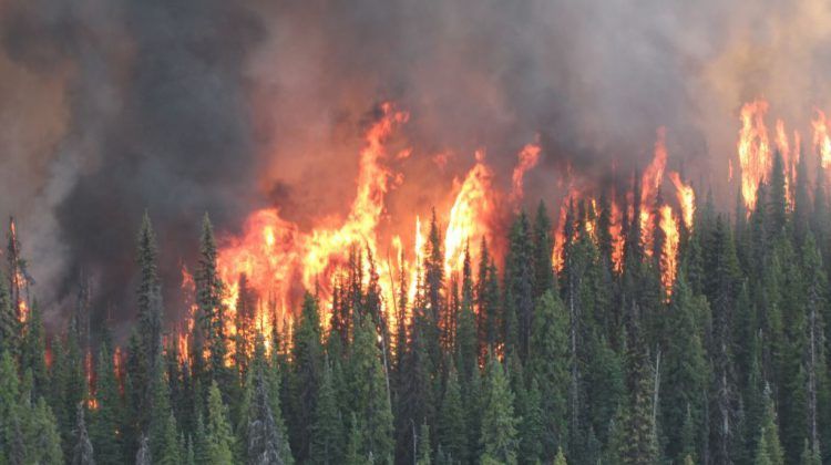 Province launching dedicated wildfire training and education centre