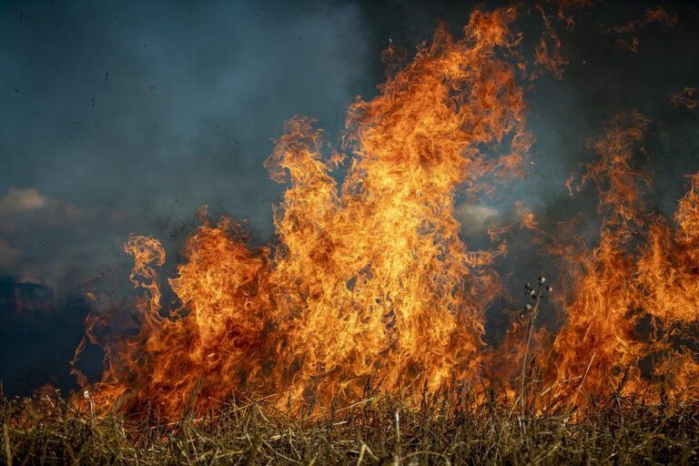 Castlegar to consider raising arson spree with province