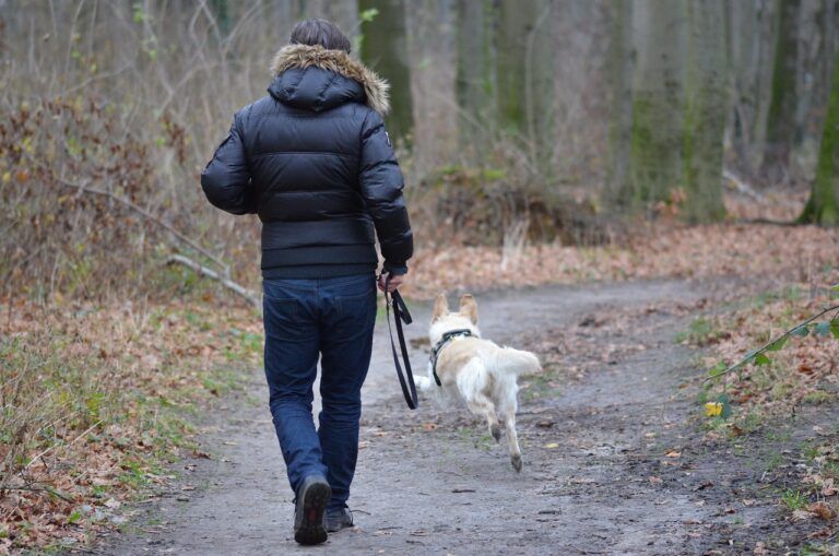 Residents call for closure of Castlegar dog park