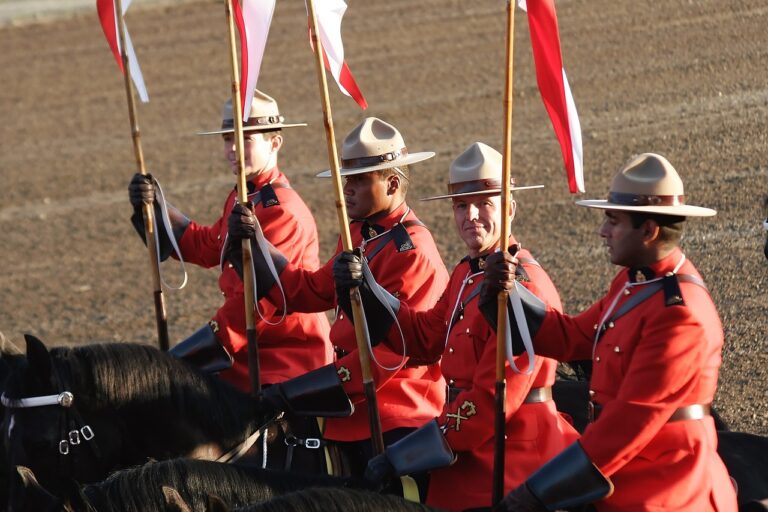 Mounties respond to Warfield horse complaint