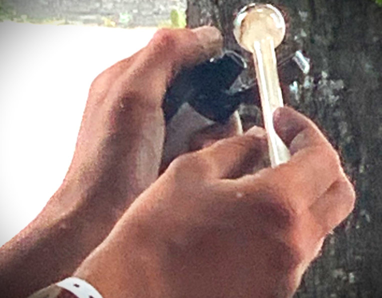 Appeal court upholds pause on provincial law banning public drug use