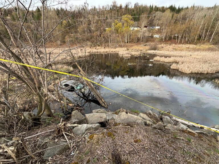 Woman drives off highway and into marsh near Oasis, BC