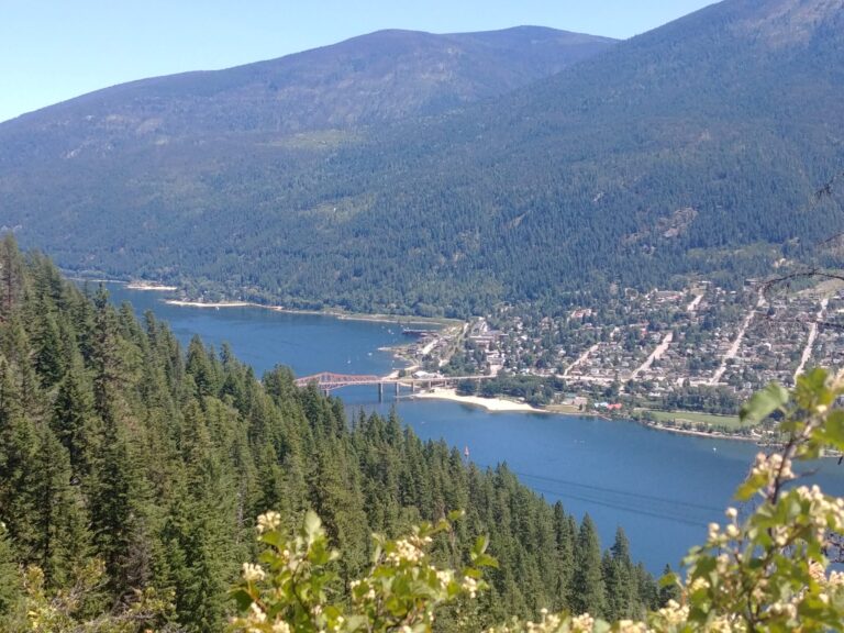 Stranded swimmer rescued from cliffs on Kootenay River