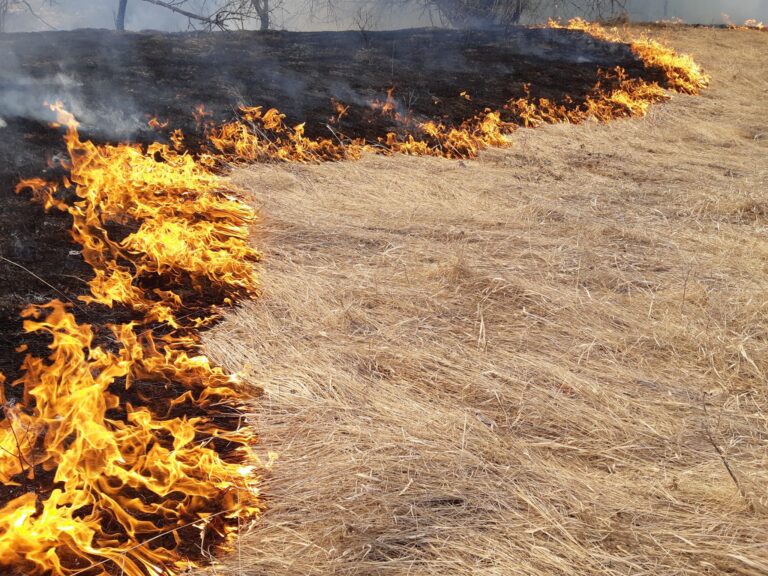 Prescribed burn planned for the Blue Grouse Mountain area