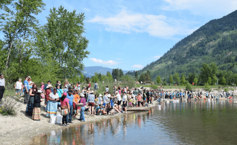 Castlegar box hatchery suggested for salmon recovery