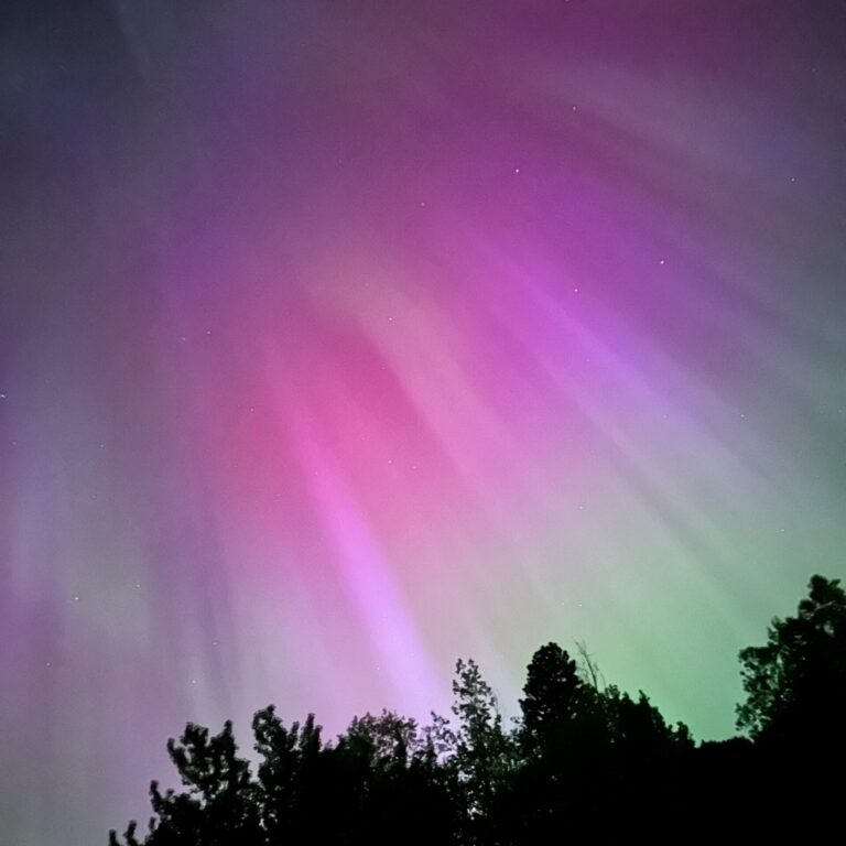 See the Northern Lights tonight
