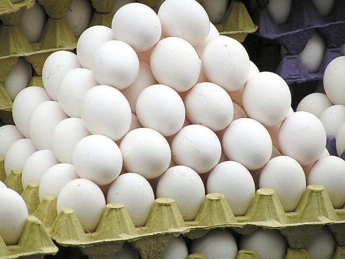 Egg brands recalled due to possible salmonella My Kootenay Now