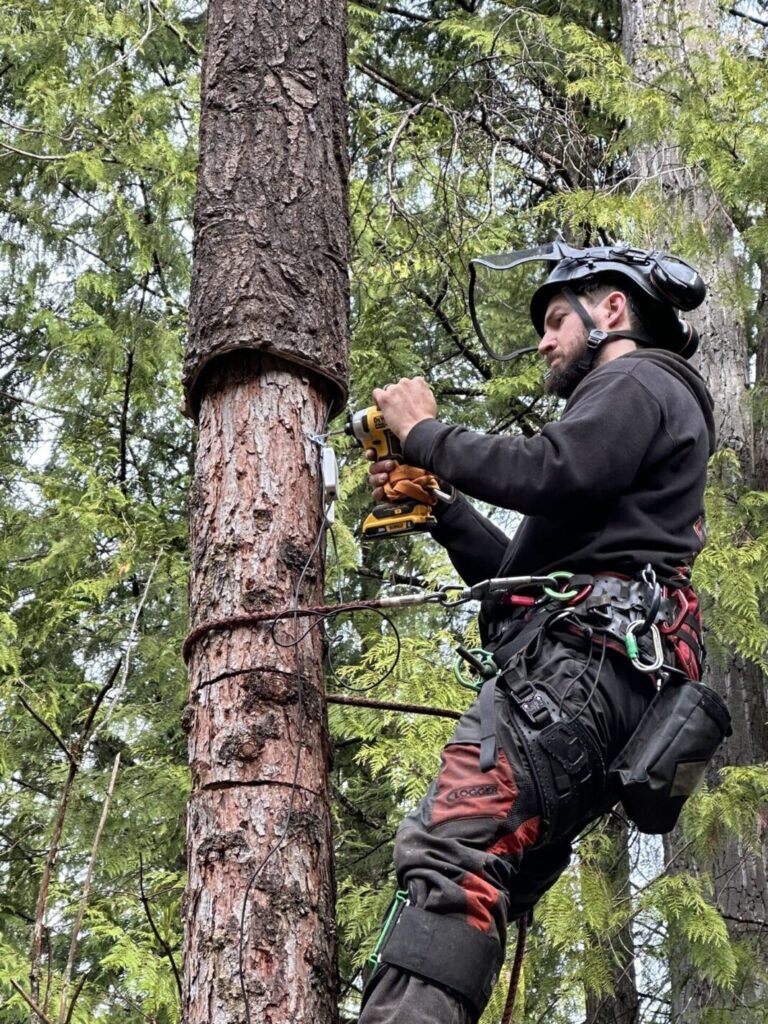 RDCK funds eight local conservation projects