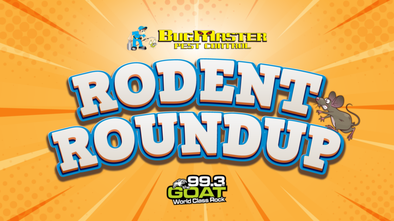 BugMaster Pest Control Rodent Roundup