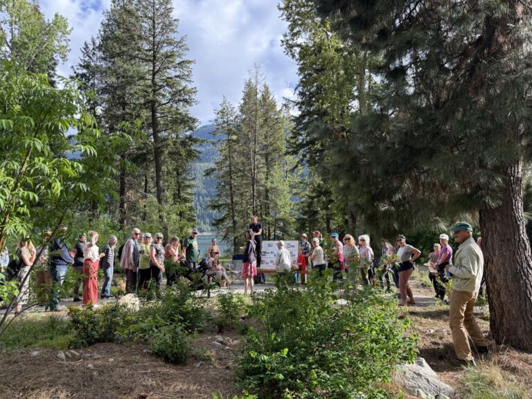Escape to Syringa’s Butterfly Habitat Garden