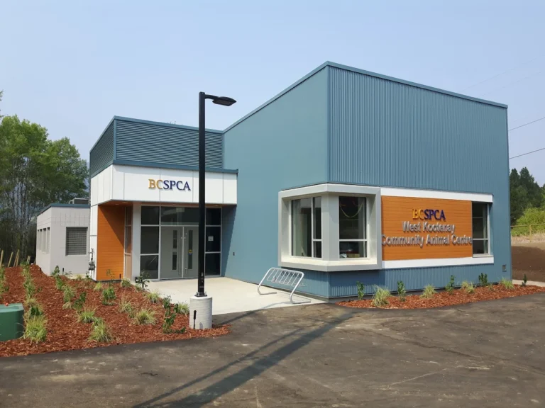 BC SPCA’s pet food banks seeing increased demand but fewer donations